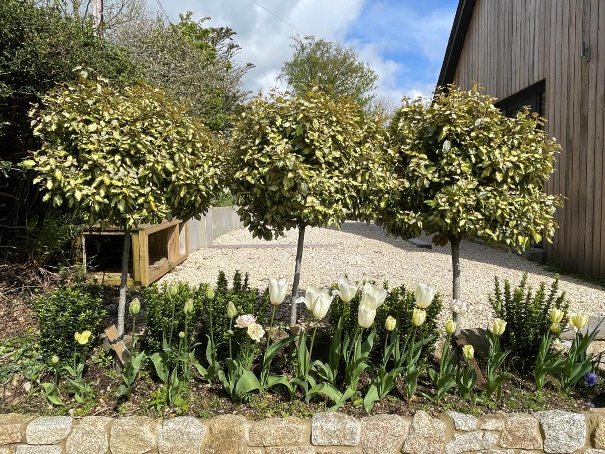 Cedar House Guest House Ilsington Luaran gambar